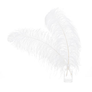 50 x White Ostrich Feathers 60-65cm