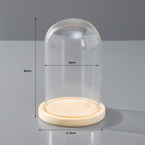 Bulk Lot x 10 Clear Glass Display Dome 20cm Tall With Wooden Base Home