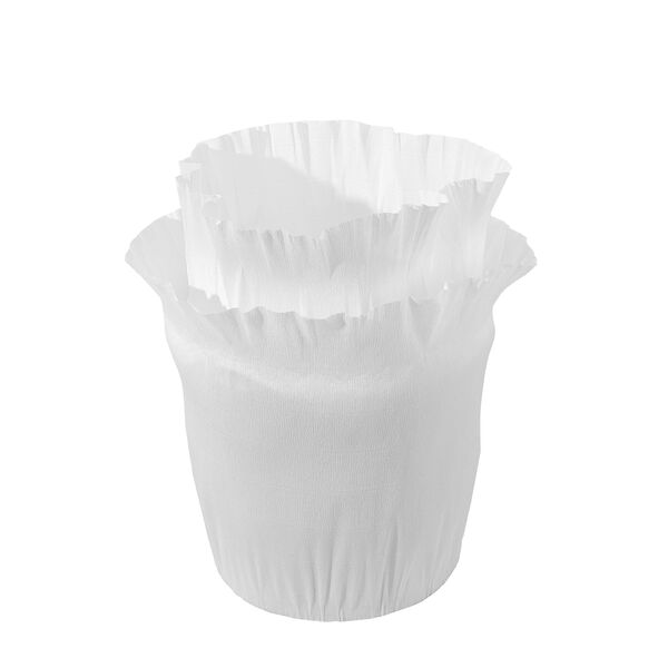 White Paper Flower Bloom Bud Wishing Well