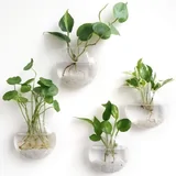 Wall Hanging Planter Glass Hydroponic Vase Plant Pot Terrarium Ball 15cm