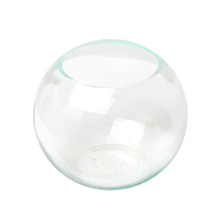 8 x Clear Glass Fish Bowl Vase - H16cm x W20cm