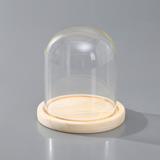 12 x Clear Glass Display Dome With Wooden Base 15cm
