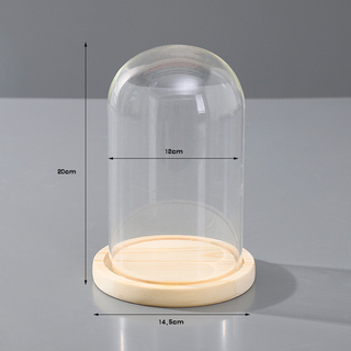 12 x Clear Glass Display Dome With Wooden Base 20cm
