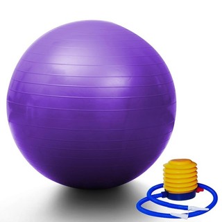10 x Yoga Gym Pilates Fit Anti Burst Swiss Ball With Pump 75cm Blue Purple Silver Red 
