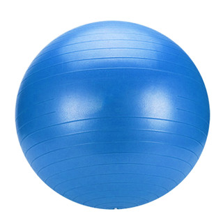 Blue Yoga Gym Fitness Pilates Fit Swiss Ball 75cm 