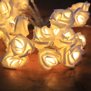 120 x Warm White Rose Flowers LED String Fairy Lights Lantern Wedding