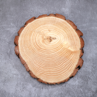 12pcs x Wooden Log Slice Round Discs 28CM DIY Embellishments 