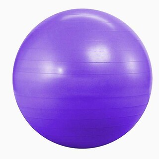 Purple Yoga Gym Fitness Pilates Fit Swiss Ball 55cm No pump