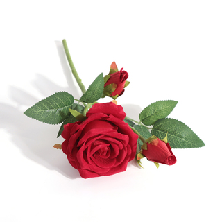6 x Velvet Rose Bloom with Bubs Red 32cm