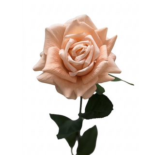 Real Touch Rose Full Bloom Nude 75cm