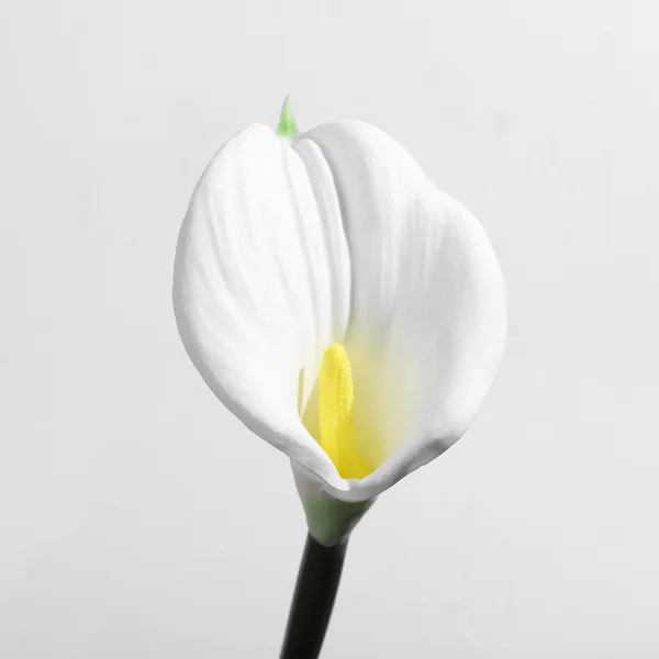 12 x Artificial Calla Lily Real Touch White Large