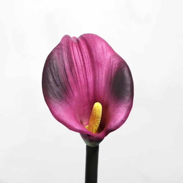 12 x Artificial Calla Lily Real Touch Burgundy Large