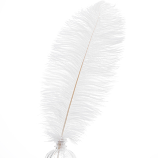 100 x White Ostrich Feathers 30-35cm