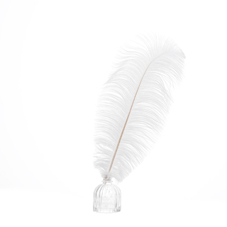 50 x Ostrich Feathers 45-50cm