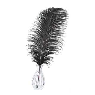 1~50x 30-35cm Large Ostrich Feathers Plume Craft Wedding Party Decorations