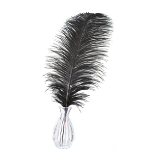 50 x Black Ostrich Feathers 45-50cm