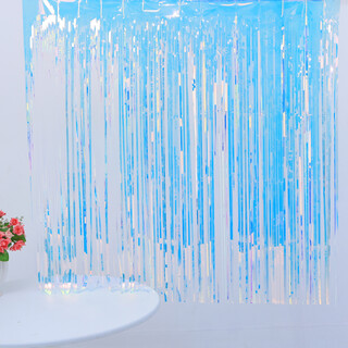 Metallic Tinsel Foil Fringe Backdrop Curtain Aurora 1m