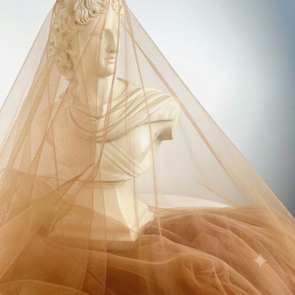 Brown Romantic Soft Tulle Fabric Drape 10m