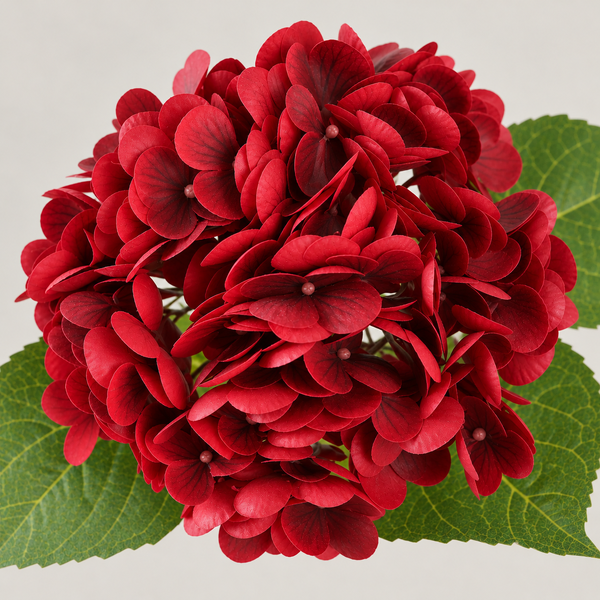 Real Touch Artificial Hydrangeas Red 50cm