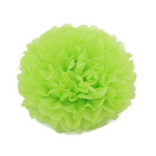 10 X 10" Green Tissue Paper Ball Pom Poms